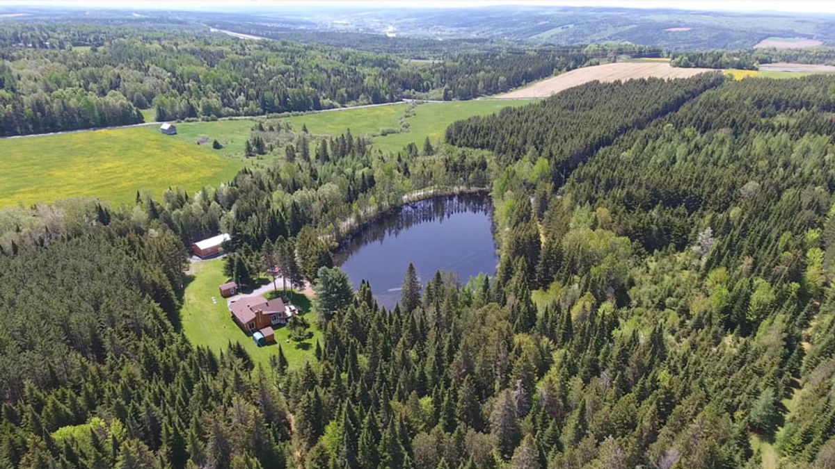 À vendre - Super domaine à Beauceville!